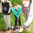 Biesiada u króla Jana